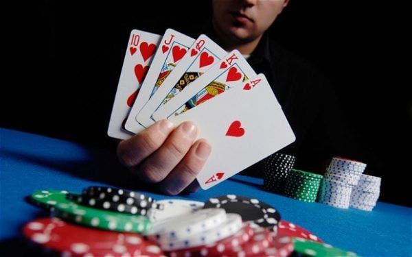 MGM SLOT LIVE کیسینو میں بکراٹکھیلیں